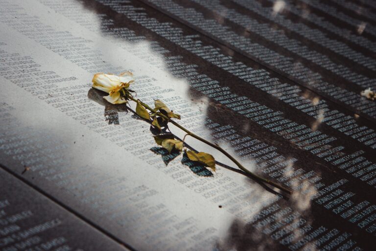 A white rose placed on a reflective memorial wall listing names, conveying remembrance.