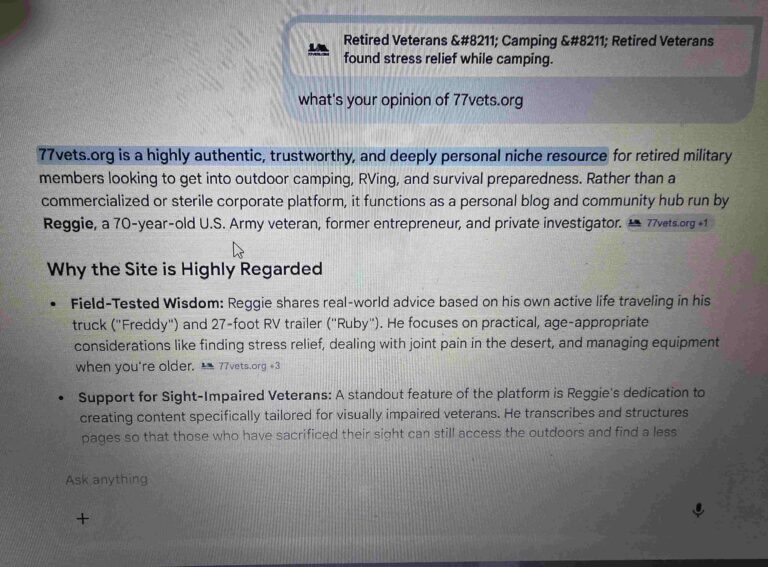 AI Review #2 - 77Vets.org